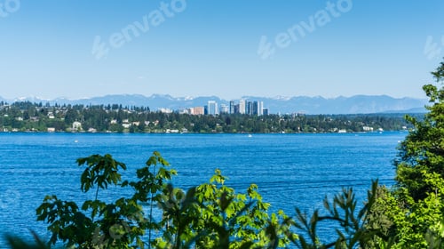 Preview: A View Of Skyscrapers In Downtow Bellevue, Washington.