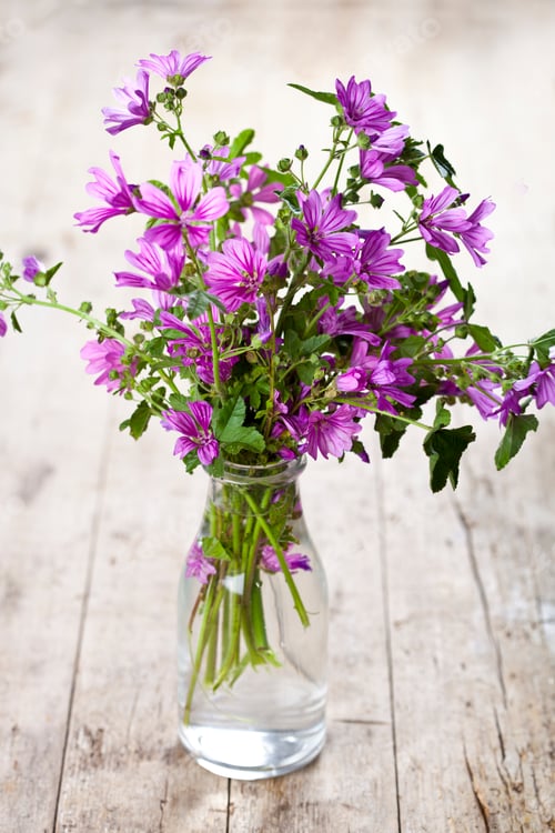 Preview: Wild violet flowers in glass bottle on rustic wooden table.