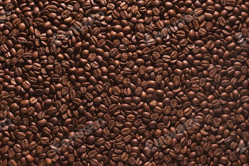 Preview: Roasted Coffee Beans Full Frame Close Up