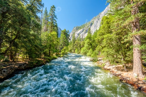 Preview: Merced River landscape in Yosemite