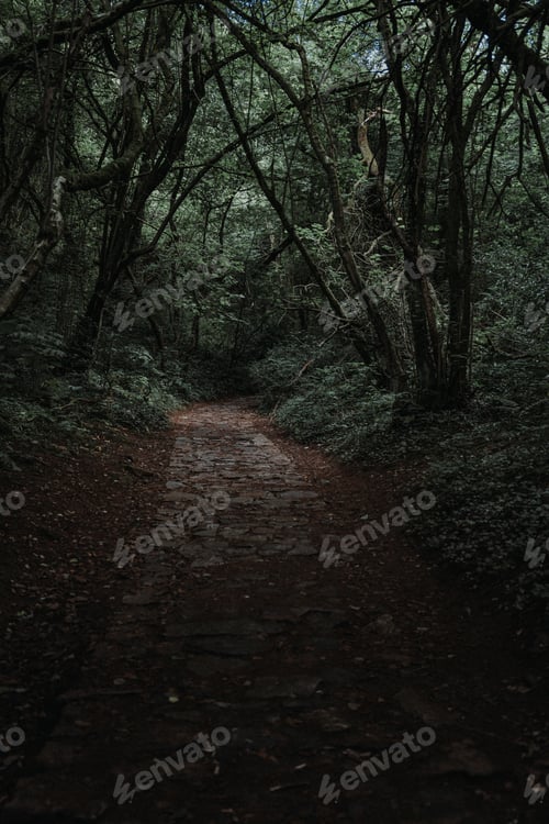 Preview: | In the quiet |