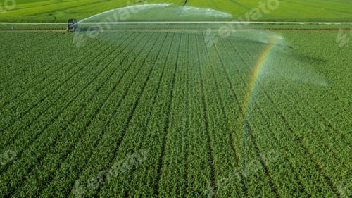 Preview: Rural field planted using hose reel system pumping water from canal