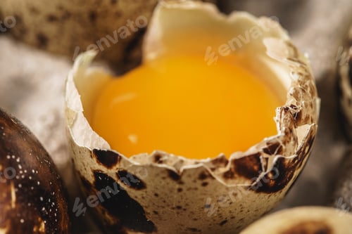 Preview: Quail eggs in cardboard box