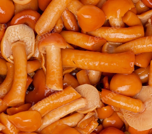 Preview: marinated mushrooms background