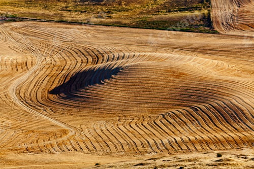 Preview: 54554,Aerial view of tilled field of wheat