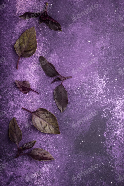 Preview: Purple basil leaves on violet background