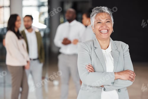 Preview: Business woman, portrait smile and leadership for corporate management or meeting at the office. Ha