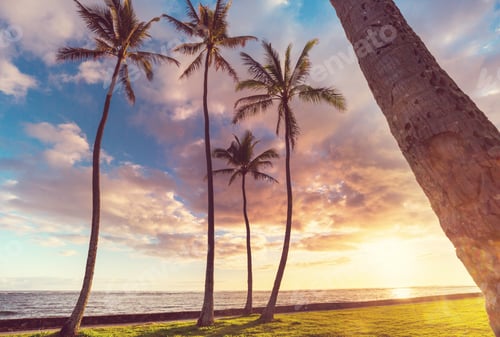 Preview: Hawaiian beach at sunrise