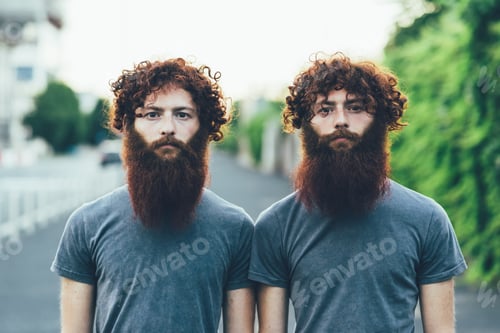 Preview: Portrait of identical adult male twins with red hair and beards on sidewalk