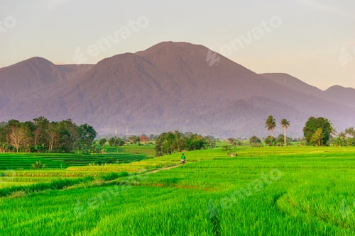 Preview: beautiful morning view from Indonesia of mountains and tropical forest