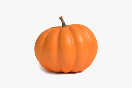 Preview: Close-up of a round pumpkin with curved stem