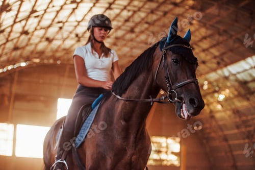 Preview: Majestic image of horse silhouette with rider on sunset background