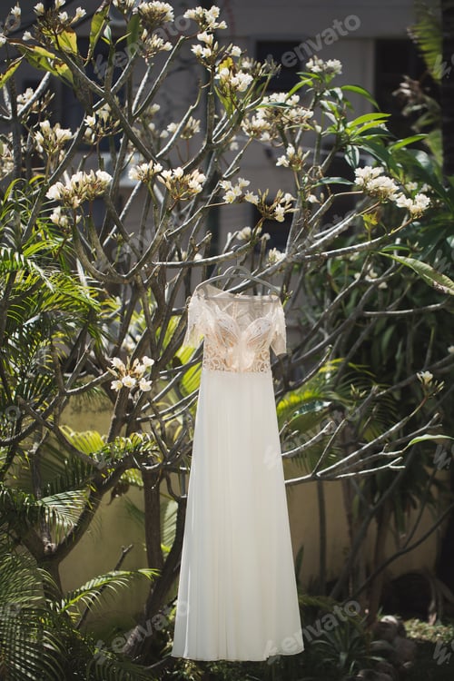 Preview: wedding dress hanging on a tree
