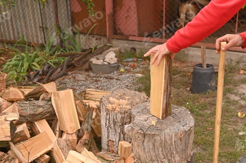 Preview: Preparation for chopping firewood. The log is installed on the stump.