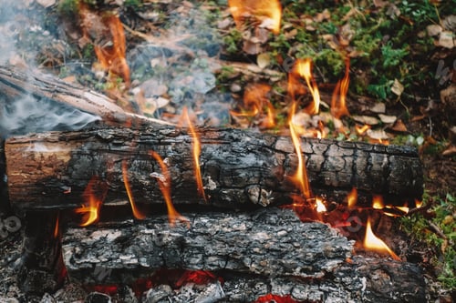Preview: Bonfire in the forest.