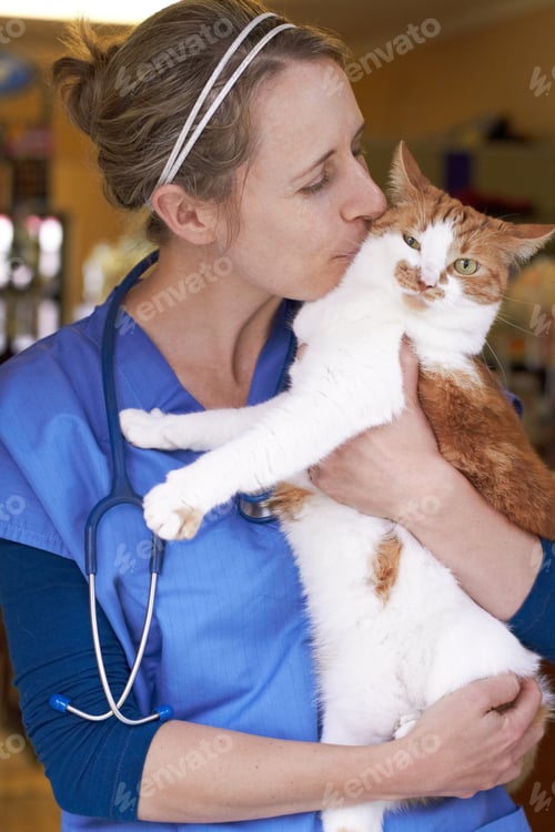 Preview: Passionate about animal care. Shot of an affectionate vet holding and kissing a cat.