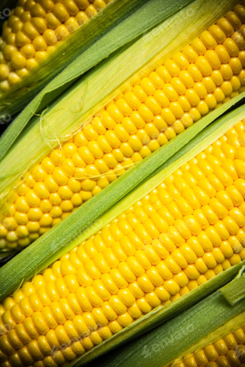 Preview: Fresh corn on cutting board.