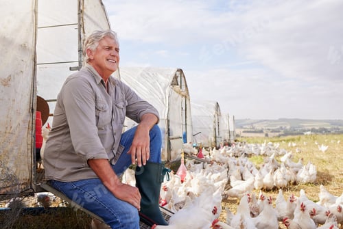 Preview: My heart has always been in farming