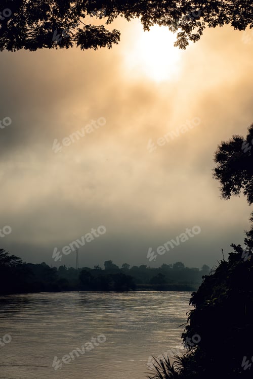 Preview: Misty morning with tree silhouette and water on river bank in Kuala Kangsar, Perak.