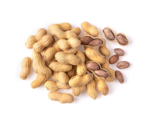 Preview: Dried peanuts isolated on white background