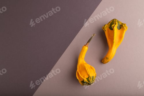 Preview: two decorative orange Pumpkins on beige and gray pastel paper, top view, copy space
