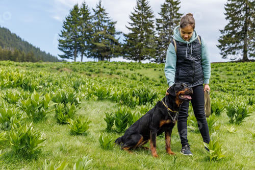Preview: Teenage girl stands with leash in hands next to dog