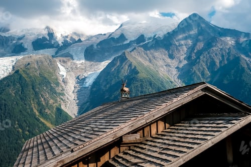 Preview: Alpine ibex, capra, resting bucolic on the roofs of alpine huts, typical image for tourists.