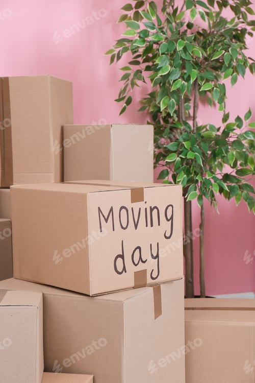 Preview: Cardboard boxes and household stuff in empty room. Moving day