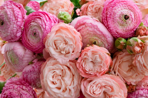 Preview: Flowers flat lay composition