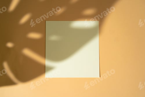 Preview: Creative photo with floral shadow of white businesscard on beige background