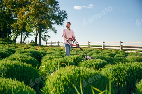 Preview: Red colored lawn mower. Adult farmer is outdoors