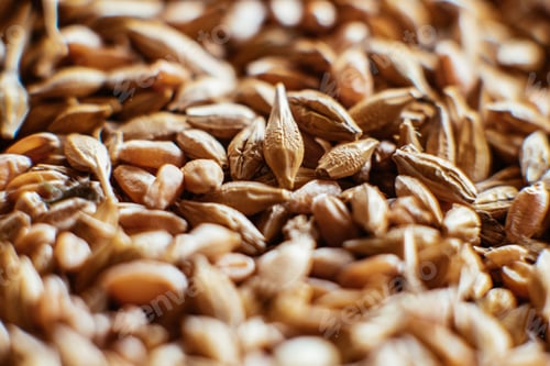 Preview: A mixture of grains of different types Background close-up