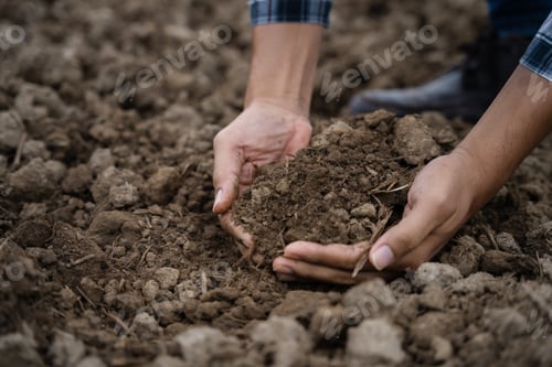 Preview: Soil in the hands of farmers. Concept of agriculture.
