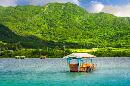 Preview: Water buffalo cart on Yubu Island, Okinawa, Japan.
