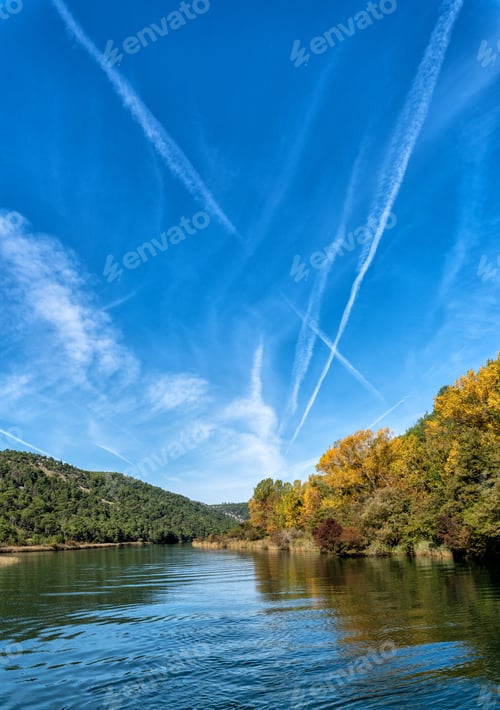 Preview: Mesmerizing shot of a beautiful river in the middle of the forest
