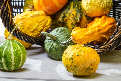 Preview: Closeup pumpkins on an wicker basket