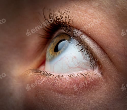 Preview: Macro shot of an eyeball of a person looking up