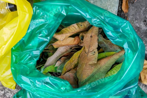 Preview: Top View Of Green Bag Filled With Various Dried Leaves, Ready For Composting