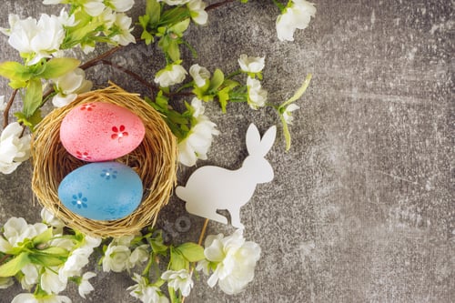 Preview: Colorful easter eggs in nest and blossoming branch on grey concrete background