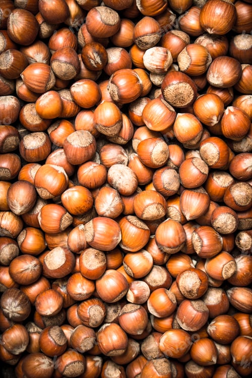 Preview: The hazelnut.