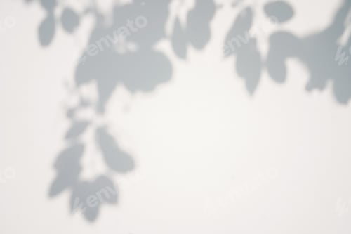 Preview: Shadow of foliage on white background. Overlay.