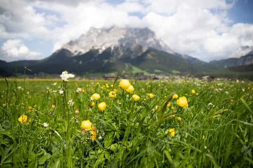 Preview: Zugspitze as seen from Grainau/Garmisch-Partenkirchen on a sunny spring day