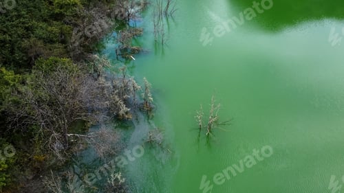 Preview: Green Polluted Lake