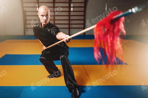 Preview: Wushu master training with spear, martial arts