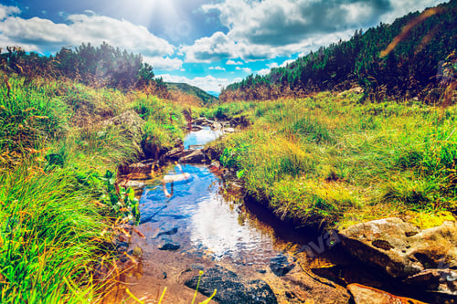 Preview: Mountain stream in the morning