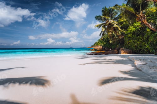 Preview: Idyllic perfect tropical pristine tranquil beach with powdery white sand, crystal clear ocean water
