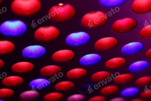 Preview: LED full spectrum to grow lights for growing plants, shallow depth of field