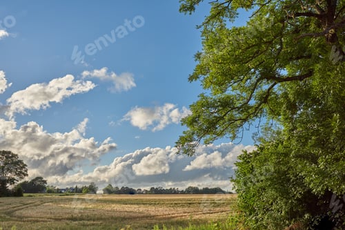 Preview: Green fields and blue skies. Green fields and blue sky in spring and early summer.