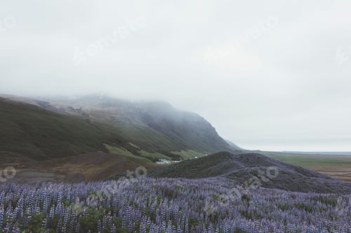 Preview: Typical Iceland landscape