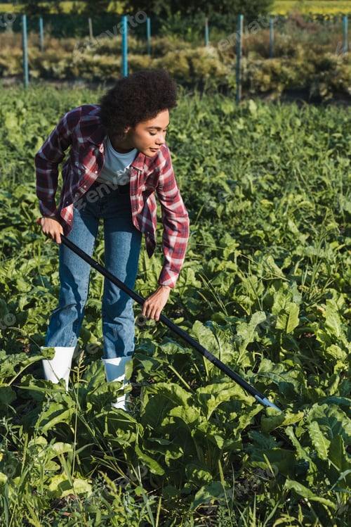 Preview: young african american woman in plaid shirt cultivating plants in field